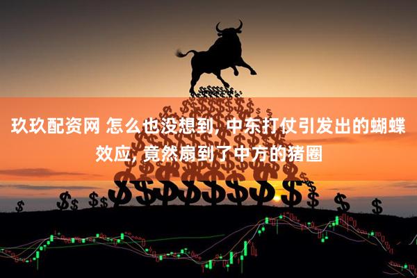 玖玖配资网 怎么也没想到, 中东打仗引发出的蝴蝶效应, 竟然扇到了中方的猪圈