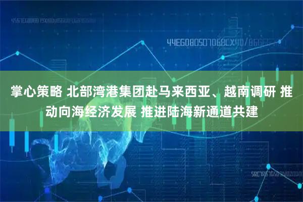 掌心策略 北部湾港集团赴马来西亚、越南调研 推动向海经济发展 推进陆海新通道共建